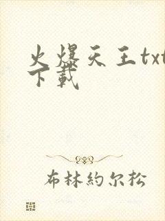 火爆天王txt下载