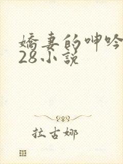 娇妻的呻吟1—28小说