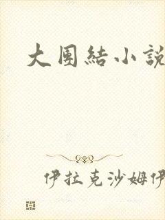 大团结小说全文