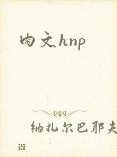 肉文hnp