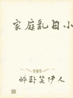 家庭乱日小说