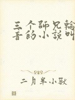 三个师兄轮流上音的小说叫什么