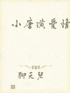 小唐璜爱情历史