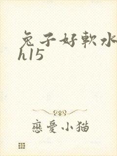 兔子好软水好多h15