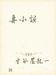 妻小说