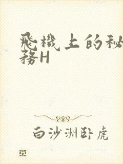 飞机上的秘密服务H