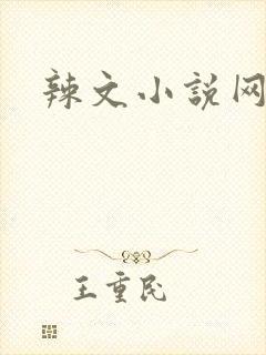 辣文小说网