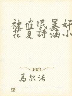 被催眠暴奸的校花夏诗涵小说