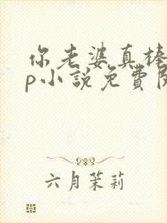 你老婆真棒多cp小说免费阅读