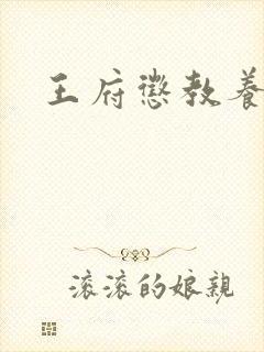 王府惩教养日常