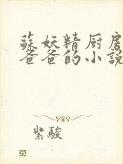 苏妖精厨房爹爹爸爸的小说