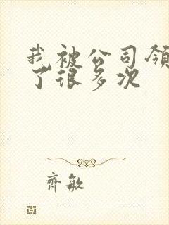 我被公司领导C了很多次