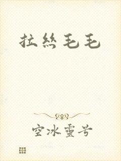 拉丝毛毛