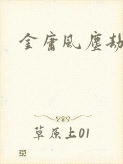 金庸风尘劫