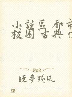 小说区 都市 校园 古典 偷拍