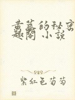 黄蓉的秘密 笔趣阁 小说