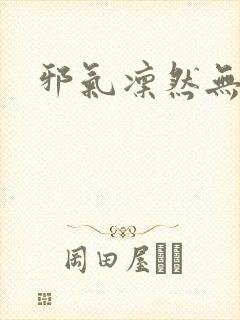 邪气凛然无弹窗