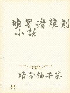 明星潜规则之皇 小说