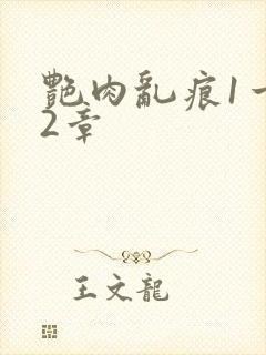 艳肉乱痕1一12章