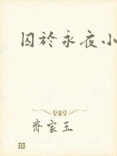 囚于永夜小说