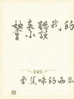 她来听我的演唱会小说