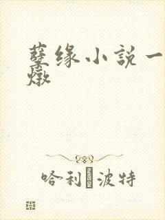 孽缘小说一家乱炖