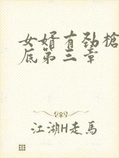 女婿有劲枪枪到底第三章