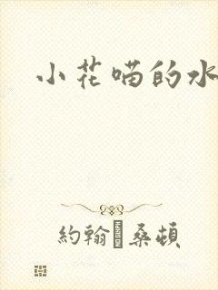小花喵的水蜜桃