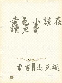 黄色小说在线阅读免费