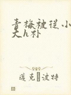 青梅被从小摸到大h补