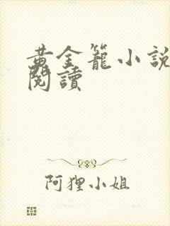 黄金笼小说免费阅读