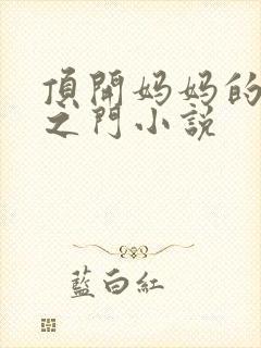 顶开妈妈的生命之门小说