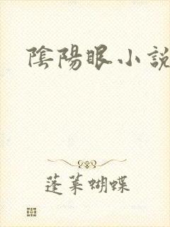 阴阳眼小说