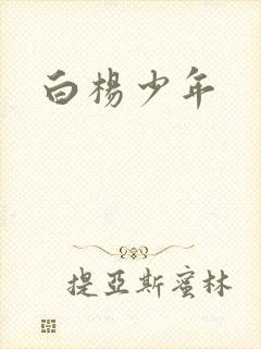 白杨少年