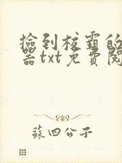 捡到校霸的遥控器txt免费阅读by阳阳