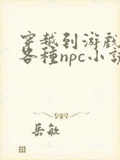 穿越到游戏里和各种npc小说