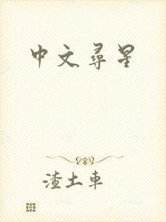 中文寻星