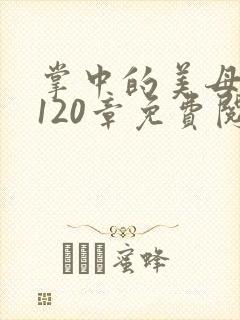 掌中的美母版主120章免费阅读