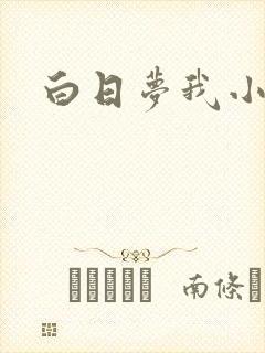 白日梦我小说