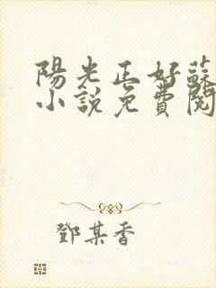 阳光正好苏玥玥小说免费阅读