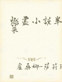 燃尽小说半截白菜