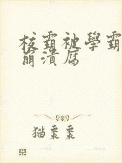 校霸被学霸玩到崩溃腐