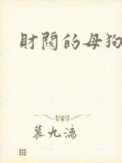 财阀的母狗们
