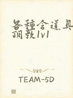 各种含道具高h调教1v1