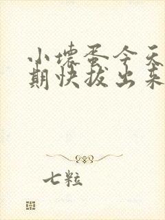 小坏蛋今天危险期快拔出来