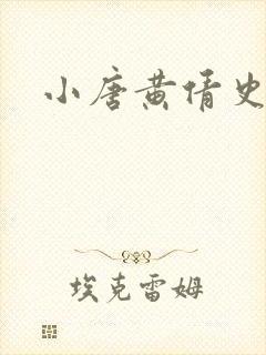 小唐黄倩史