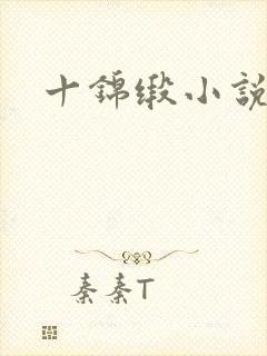 十锦缎小说