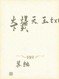 火爆天王txt下载