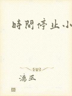 时间停止小说