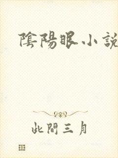 阴阳眼小说